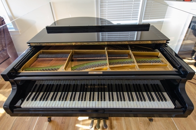 bechstein Pino 1908