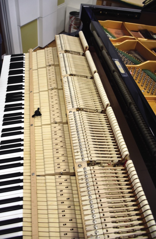 bechstein hammer 11