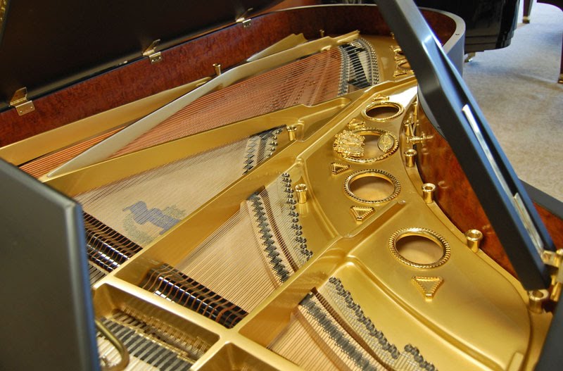 Schimmel213GPInt